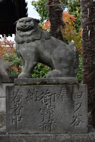 荘厳寺の狛犬達