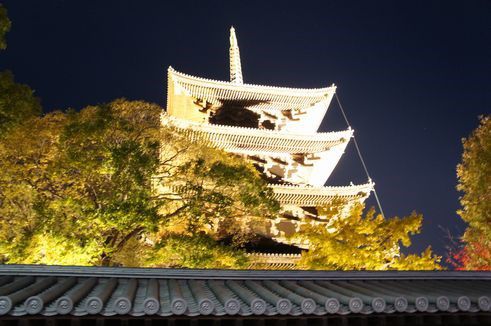 漆黒の夜空に浮かび上がる東寺の塔と紅葉