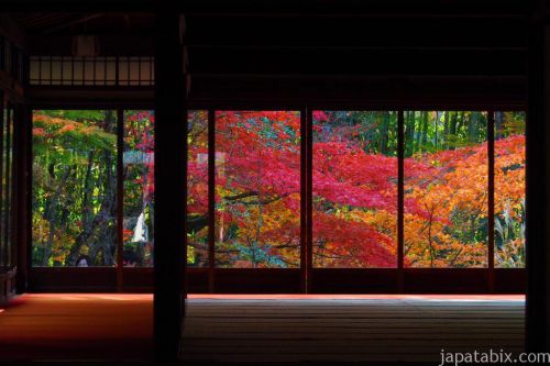 2017年 京都・滋賀 紅葉名所巡りの旅 速報版①~瑠璃光院、南禅寺、清水寺、永観堂、平等院鳳凰堂など~