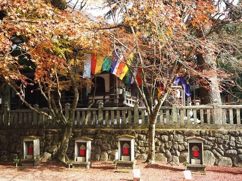 秘仏御本尊の特別開帳「播州清水寺」の根本中堂 特別御朱印(兵庫県加東市)