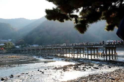 常寂光寺の紅葉今真っ盛り!