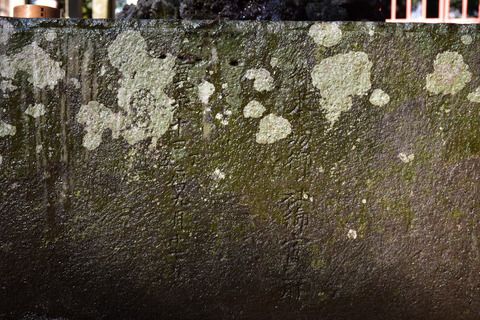 仙波東照宮の狛犬達