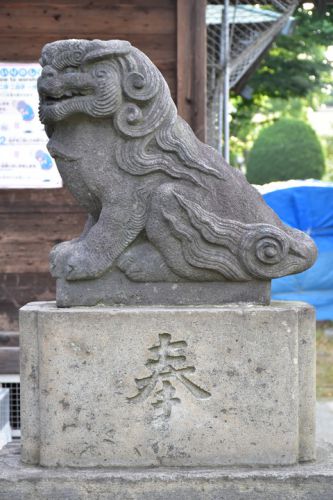 本一色天祖神社の狛犬達