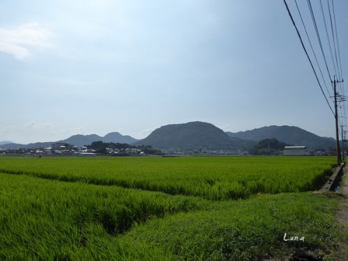 磐井八幡宮1 筑紫君磐井は武雄に砦を作った