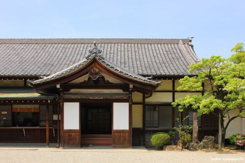 東海道三大社の一社 知立神社 No.47