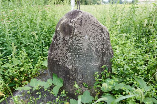 膽澤川神社〔石碑〕(奥州市胆沢区若柳字橋本)
