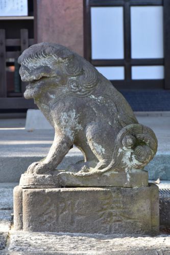 川越八幡宮の狛犬達