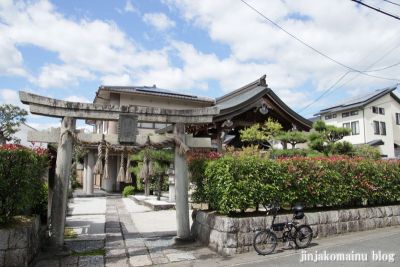 梅宮神社(左京区岩倉中町)