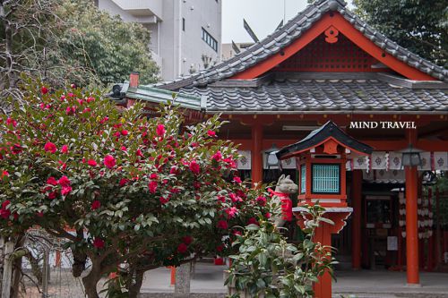 大和な雛祭 源九朗稲荷神社 『源九朗狐は源義経の化身だった?』