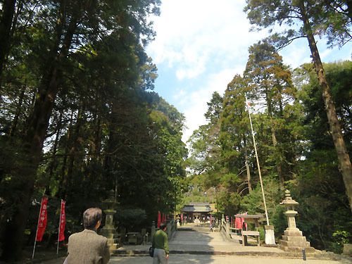 『邪馬台国ラプソディ』 聖地巡礼 15 日向国一之宮 都農神社