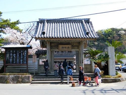鎌倉 光明寺(1) 観桜会と寺集(てらつど)