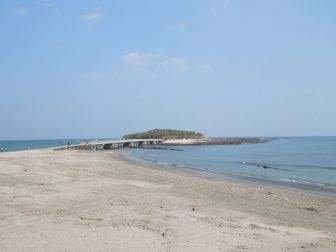 青島神社の御朱印の受付時間と場所と種類!朱印帳のサイズと値段も