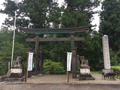 【岐阜】白山中居神社の御朱印