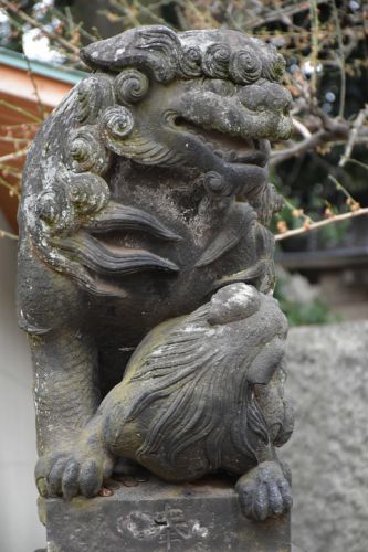 【狛犬再訪ギャラリー】代々木八幡宮の狛犬達
