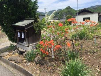 【神社仏閣名所旧跡めぐり】「どの道行けば、この恋を忘れることが出来ますか?♪せめて教えて? 道祖神♪♪ 亀倉「道祖神」考!