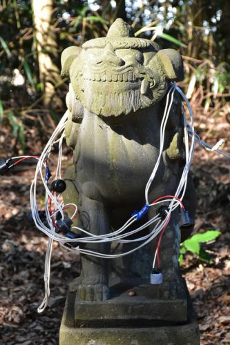 坂戸神社の狛犬達