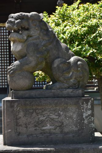 新曽氷川神社の狛犬達