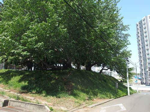 公所浅間神社跡地(富士塚) - 神社移転後も残された富士塚の跡