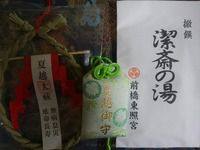 前橋東照宮 夏越の大祓(群馬県前橋市大手町)