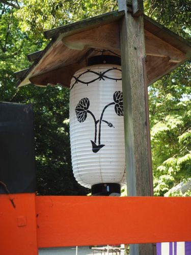 下賀茂神社の「糺の森(ただすのもり)」を散策