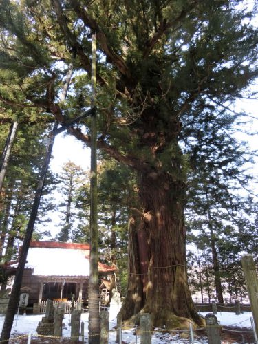2018/2/25(日)塩原八幡宮 栃木県
