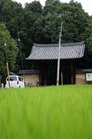 お盆に秋篠寺へ