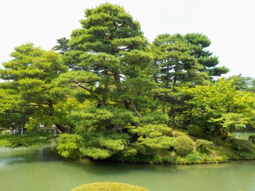 兼六園内の神社で御朱印/スタンプ設置場所と歩き方【がっかりつまらない?】
