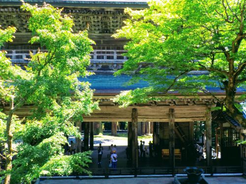 永平寺の御朱印と御朱印帳!達磨御朱印の話/種類・値段・受付時間と場所・サイズ・御朱印帳袋