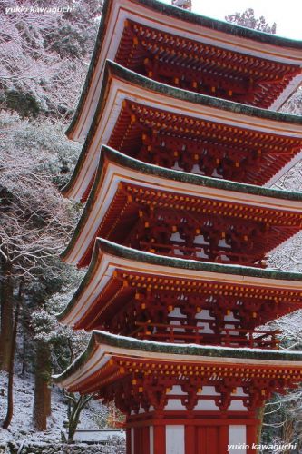 雪景色の室生寺 No.27　（ 五重塔 ） 　[ 奈良・大和路の名刹 探訪！ 女人高野　室生寺 （ Murouji-temple ） No.120 ]