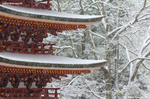 雪景色の室生寺 No.29　（ 五重塔 ） 　[ 奈良・大和路の名刹 探訪！ 女人高野　室生寺 （ Murouji-temple ） No.122 ]