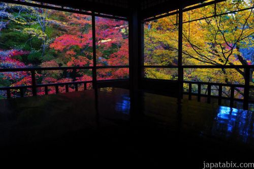 【2018 秋の京都】瑠璃光院の紅葉!今年の見頃と混雑回避するには?周辺スポットもご紹介!