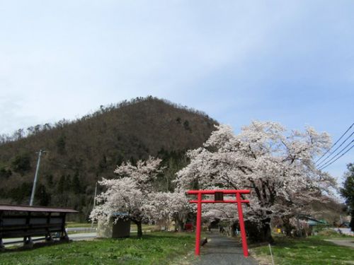富神明神と柏倉八幡神社