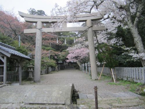 斎宮竹野神社の横の神明山古墳は日葉酢媛陵古墳と同型だった