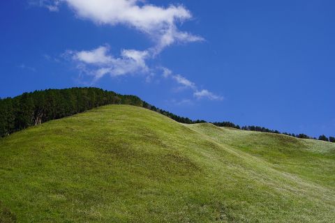 曽爾高原から室生寺、室生芸術の森をめぐる