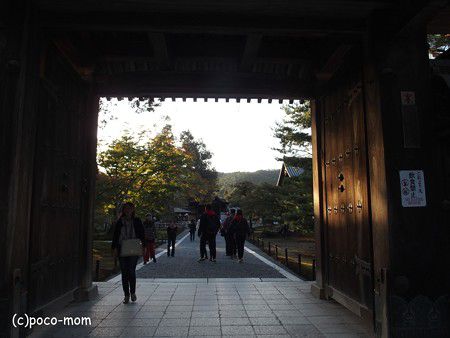 銀閣寺( 鹿苑寺 ) ぶらマムならぬ、駆け白マム 2018.10.21