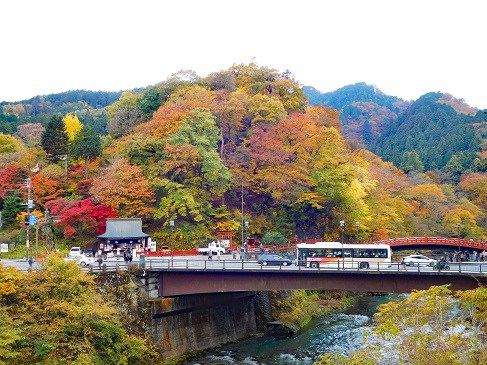 滝尾神社への道~日光遠征記(その2)~