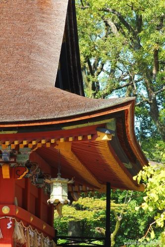 伊賀八幡宮 No.9