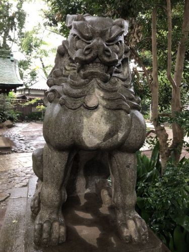 奥沢神社の狛犬達