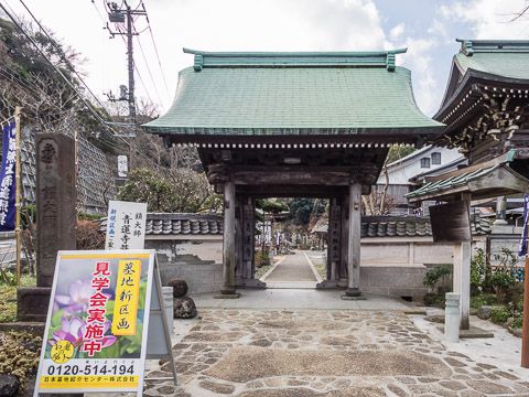 鎌倉 青蓮寺 2018/02/16