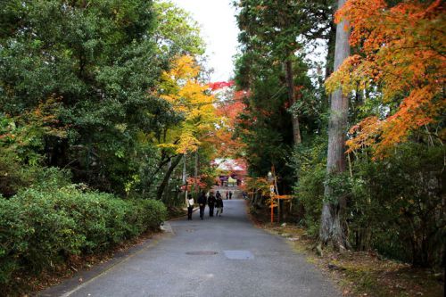 曼殊院門跡、一人の天才のプロデュース。