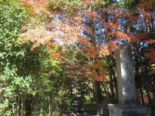 円成寺(2018年11月18日参拝)