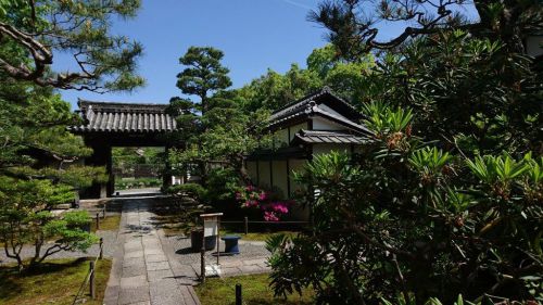 姫だるま限定御朱印~妙心寺大雄院