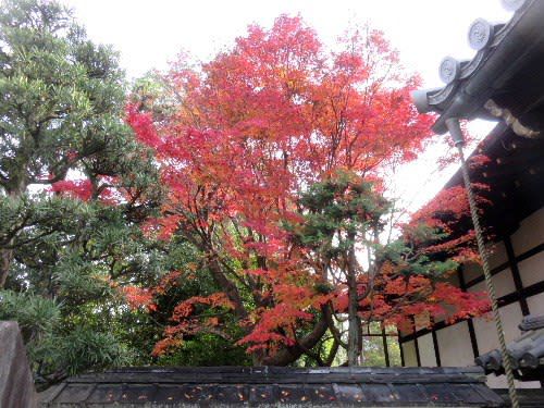 東福寺塔頭 退耕庵(2018年12月1日参拝)