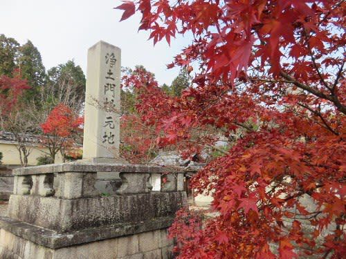光明寺(2018年12月1日参拝)