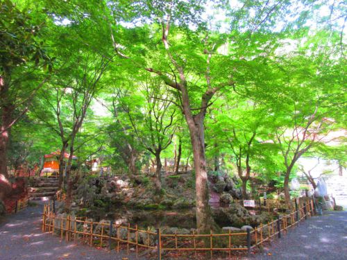 【三重】県内屈指の紅葉の名所「聖宝寺」の御朱印&藤原岳登山