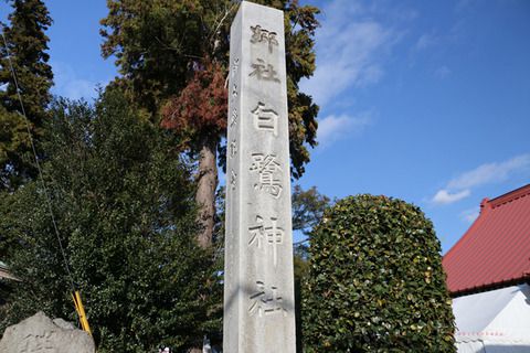 神社巡り 白鷺神社(栃木県上三川町)