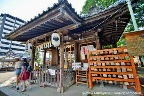 川越熊野神社で八咫烏に願いを!小江戸の銭洗弁財天で金運上昇も祈願