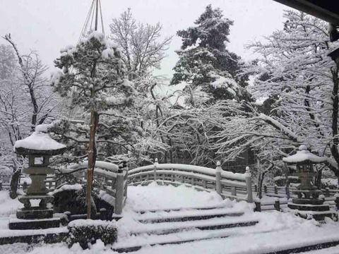 【岐阜】飛騨護國神社の御朱印②
