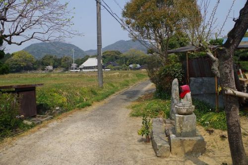 八雲神社 山口市陶 狛犬ウォークvol.12桜の季節に狛さんぽ