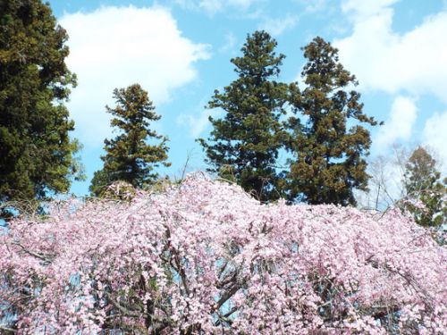 青春切符の旅>>>湖南公園>>>常宣寺